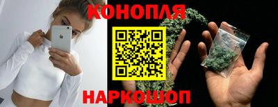 гидра Тулун