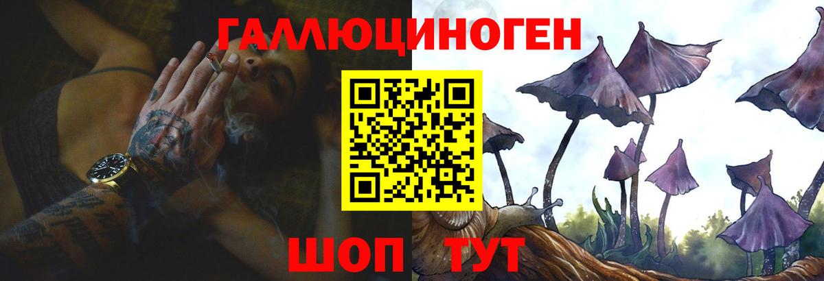 Галлюциногенные грибы Magic Shrooms  дарнет шоп  Махачкала  Вход с VPN 
